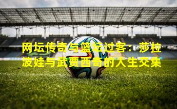 网坛传奇与篮坛过客：莎拉波娃与武贾西奇的人生交集