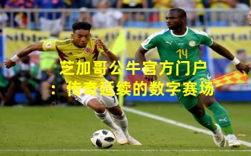 芝加哥公牛官方门户：传奇延续的数字赛场