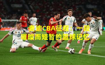 麦迪CBA征程：一段璀璨而短暂的篮球记忆