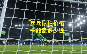 乒乓球拍价格一般是多少钱