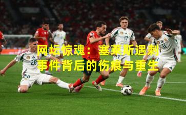 网坛惊魂：塞莱斯遇刺事件背后的伤痕与重生